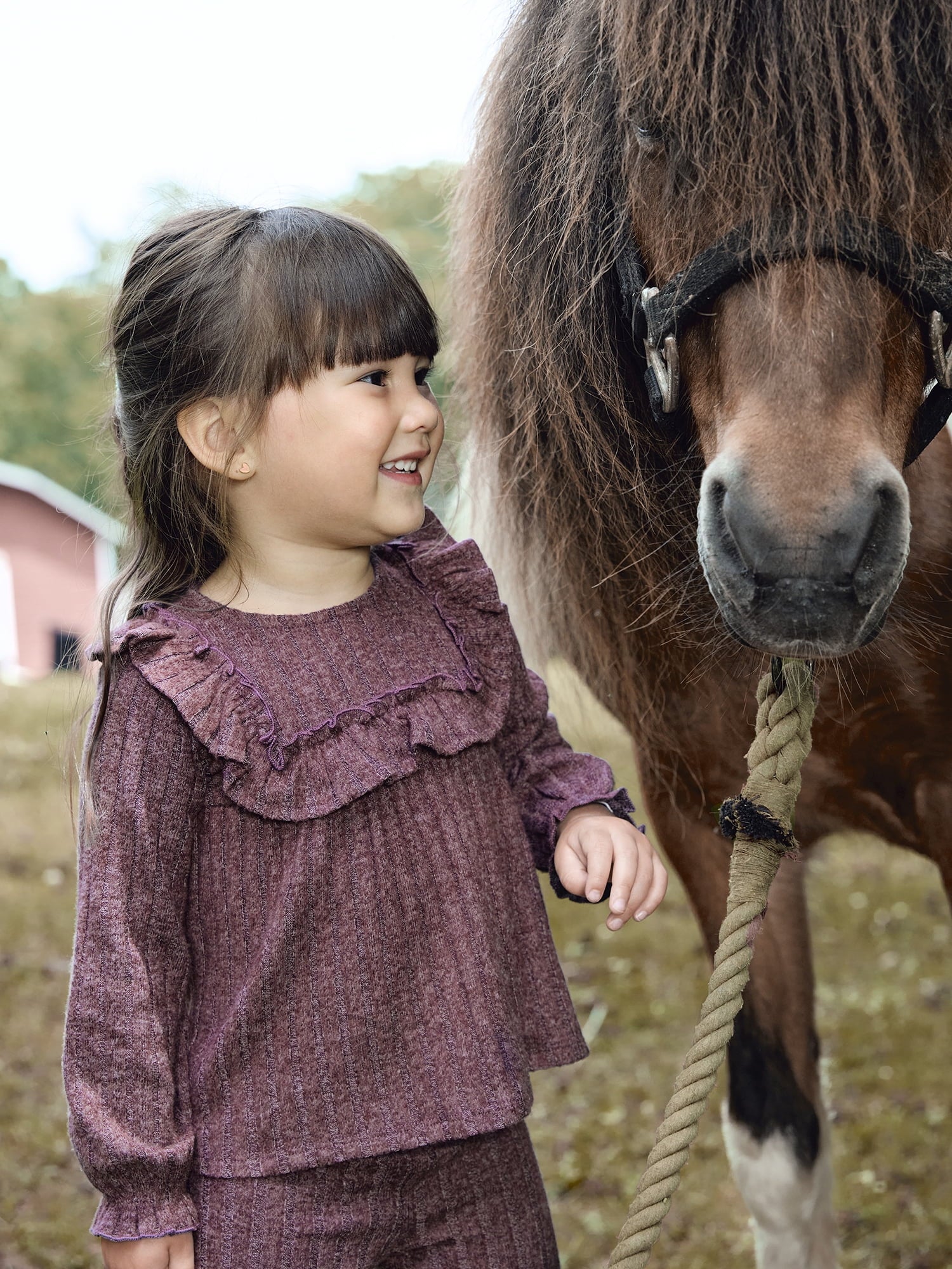 Modern Moments by Gerber Toddler Girl Ruffle Top and Pant Set, Sizes 12M-5T
